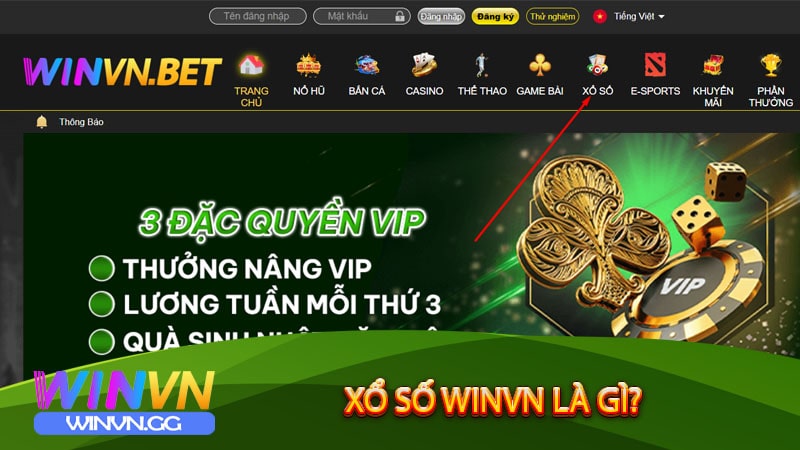 Xổ số winvn là gì?