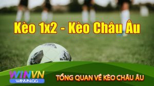 Tổng quan về kèo Châu Âu