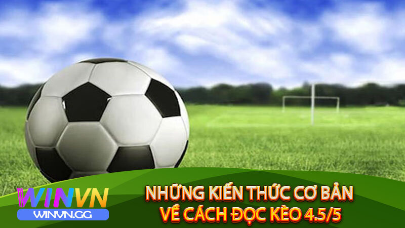 Những kiến thức cơ bản về cách đọc Kèo 4.5/5