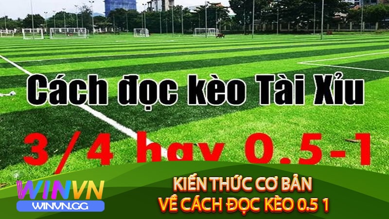 Những kiến thức cơ bản về cách đọc kèo 0.5 1