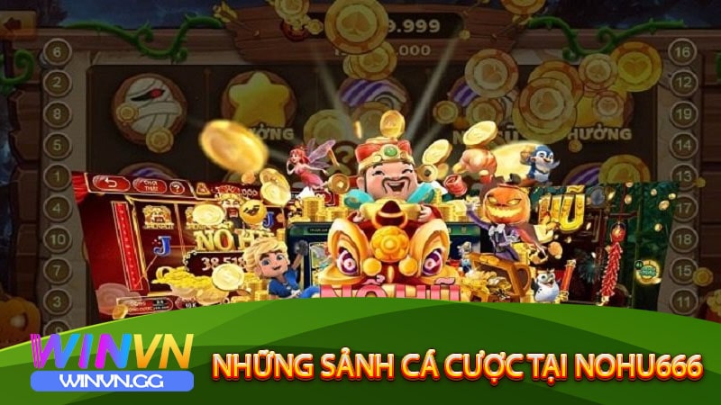 Những sảnh cá cược tại Nohu666