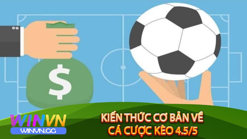 Kiến thức cơ bản về cá cược Kèo 4.5/5