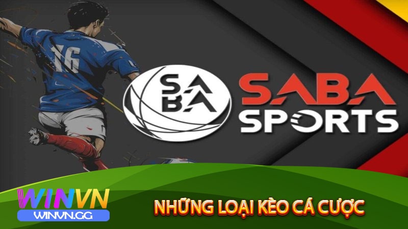 Những loại kèo cá cược của Saba Sports winvn