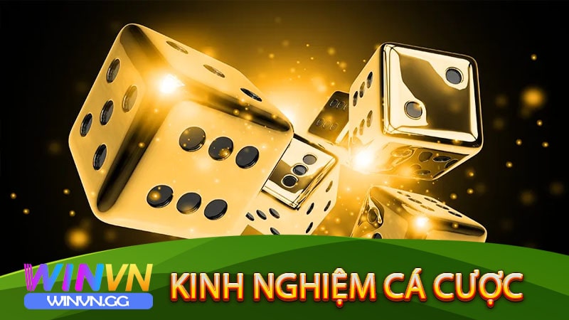 Kinh nghiệm cá cược